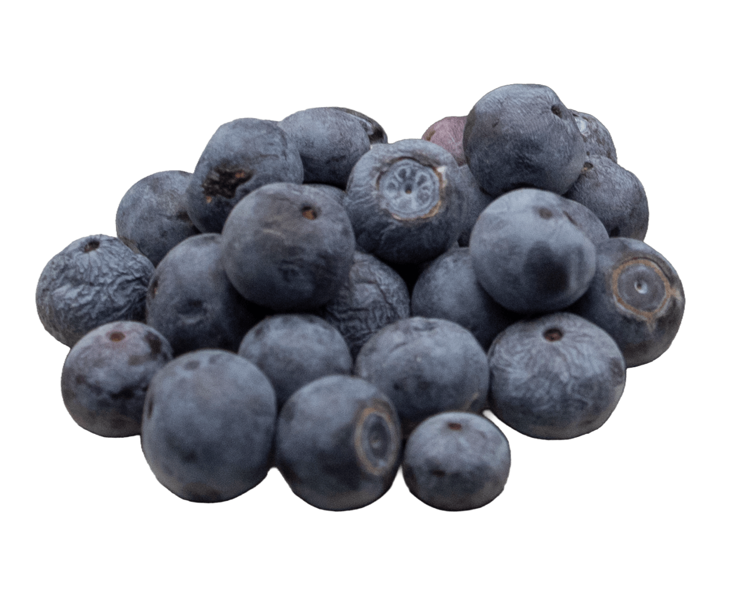 freeze-dried-blueberries4