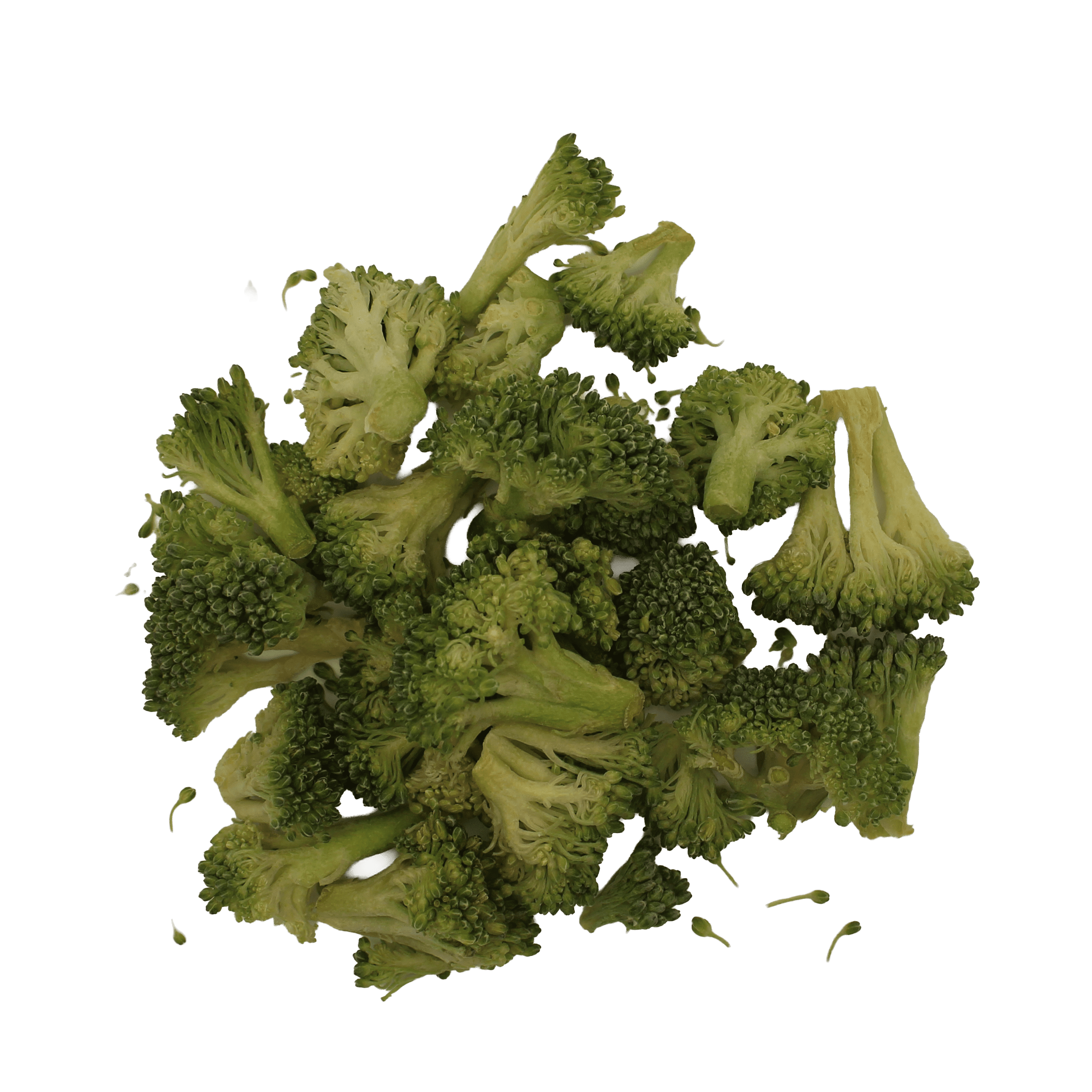 Freeze Dried Broccoli