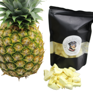 Freeze Dried Pineapple Chips (1oz)
