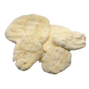 Freeze Dried Greek Yogurt